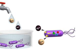 Biosensor
