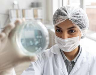 Máster Microbiología